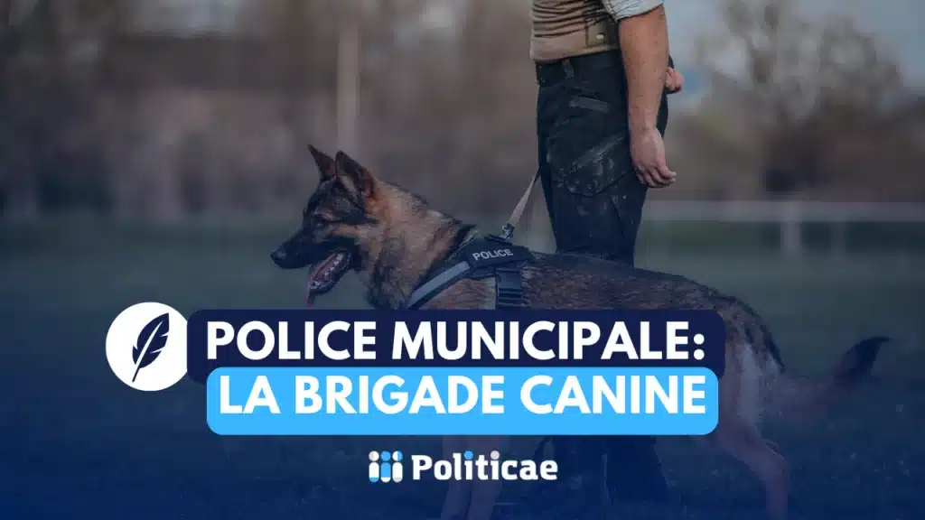 Police municipale: créer une brigade canine
