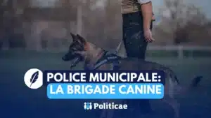 Police municipale: créer une brigade canine